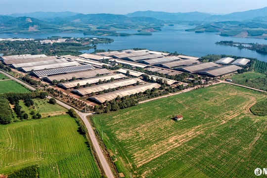 BAC A BANK : Hành trình trở thành ngân hàng xanh