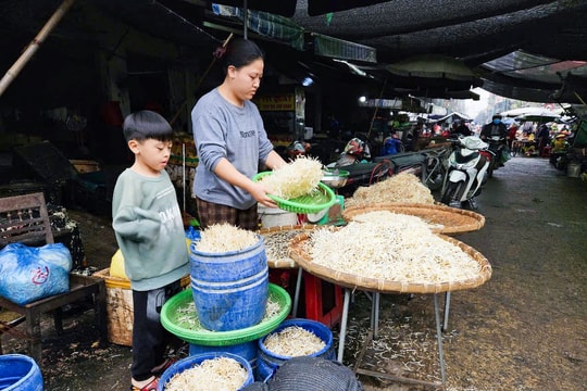 Giá đỗ vẫn tiêu thụ bình thường tại các chợ dân sinh Nghệ An