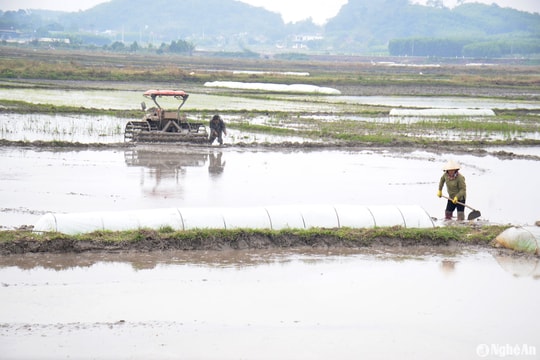 Nông dân Nghệ An bám đồng, bám biển ngay từ đầu năm
