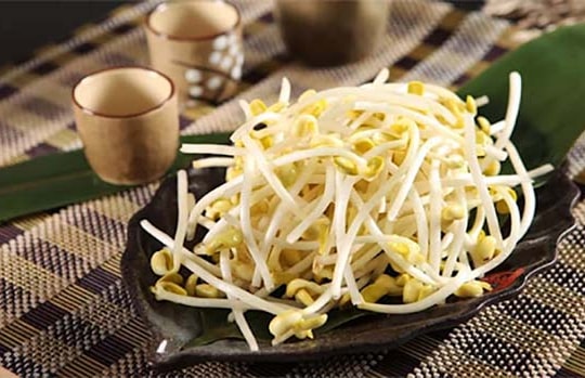 Không nên ăn giá đỗ nếu bị những lý do sau