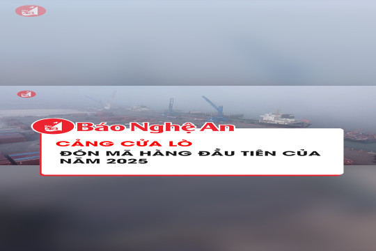 Cảng Cửa Lò đón mã hàng đầu tiên của năm 2025
