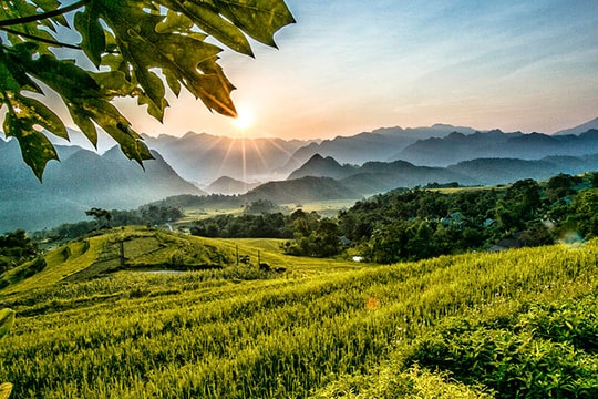 Thời tiết Hà Tĩnh, Thanh Hoá ngày 2/1: Sáng sớm và đêm trời rét đậm, có nơi rét hại