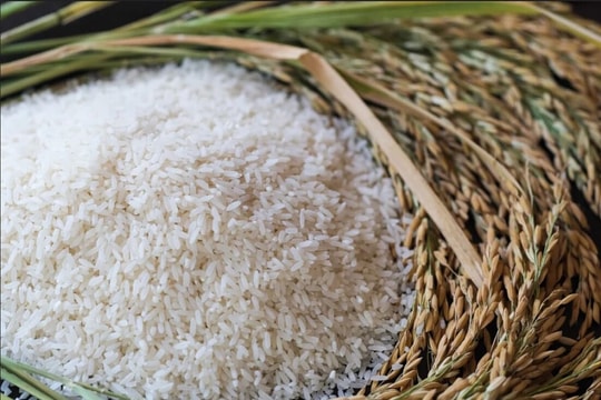 Giá lúa gạo hôm nay 3/1/2025: Không có nhiều biến động
