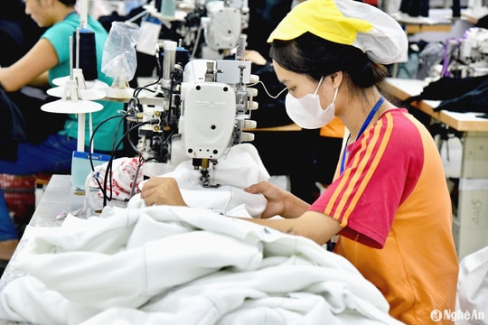 Trước Tết, hơn 500 lao động trẻ ở huyện Con Cuông có việc làm ngay trên quê nhà