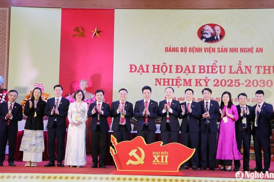 Phát triển Bệnh viện Sản nhi Nghệ An trở thành tuyến cuối của khu vực