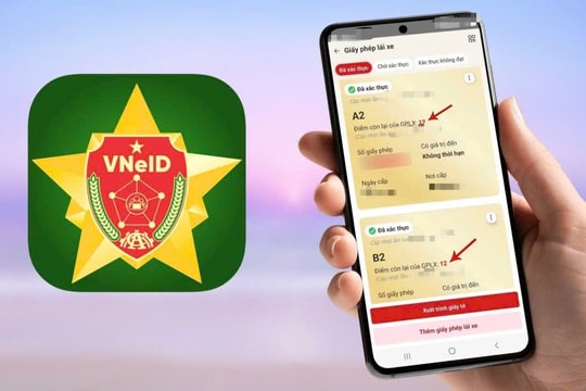 Cách kiểm tra điểm trên Giấy phép lái xe qua điện thoại