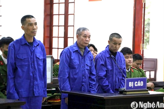 Vừa ra tù lại rủ nhau buôn ma túy, bộ ba lĩnh án chung thân