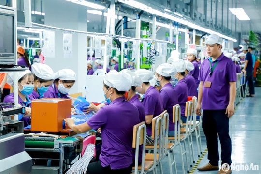 Ban Thường vụ Tỉnh ủy yêu cầu vận động, xúc tiến thu hút lao động về làm việc tại Nghệ An