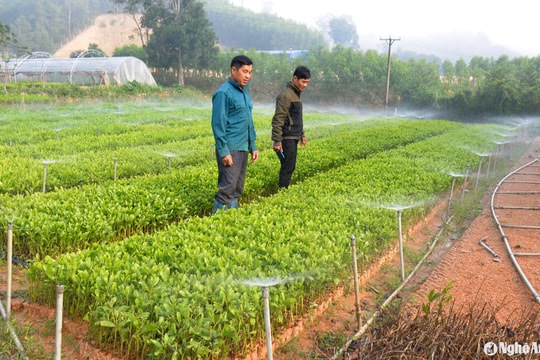 Lắp đặt hệ thống tưới thông minh: Tư duy mới của nông dân Nghệ An