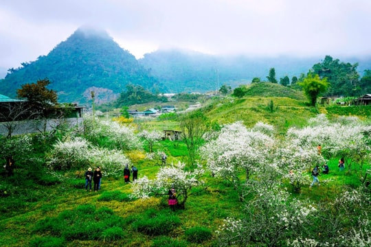 Những ‘điểm hẹn mùa Xuân’ ở Nghệ An