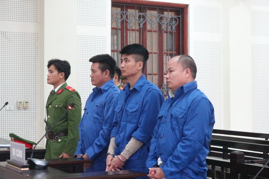 Dính vào ma túy, bộ 3 chia nhau 60 năm tù