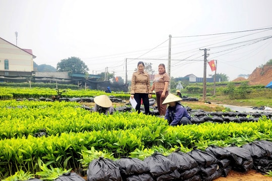 Trao sinh kế, tạo động lực cho đồng bào miền núi Nghệ An