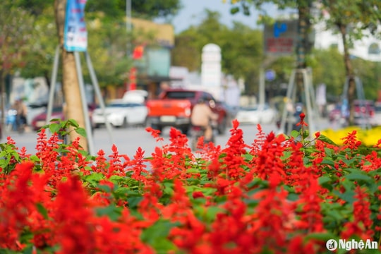 Thời tiết Nghệ An ngày 19/1: Sáng sớm có sương mù nhẹ vài nơi, trưa chiều trời nắng