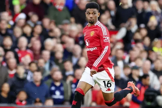 Dự đoán tỷ số MU vs Brighton: Cuộc chiến cân não tại Old Trafford