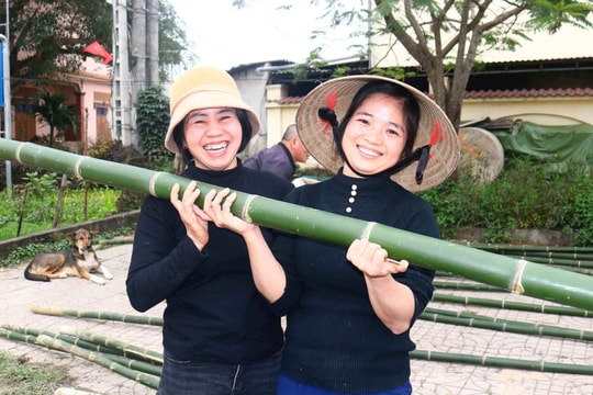 Người dân Nghệ An nhộn nhịp mua bán cây nêu ngày Tết