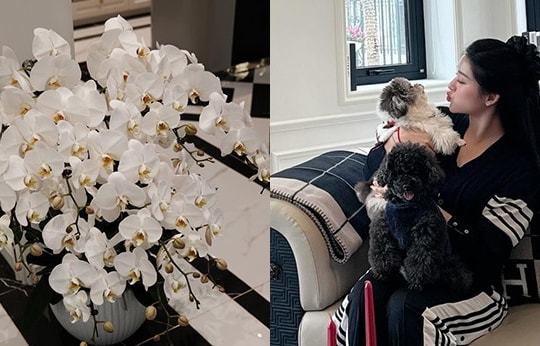 Biệt thự trắng 3 tầng 'đẹp như mơ' ngập hoa đón Tết của á hậu Huyền My