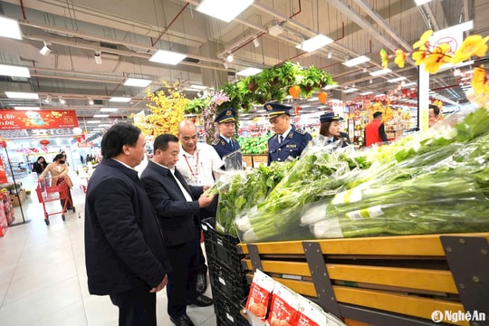 Lãnh đạo tỉnh kiểm tra tình hình cung ứng hàng hóa, giá cả thị trường thành phố Vinh dịp Tết Nguyên đán