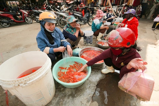 Thị trường đồ lễ cúng ông Táo dồi dào, giá bình ổn