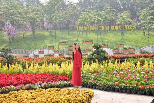 Gấp rút hoàn thành đường hoa quanh Quảng trường Hồ Chí Minh