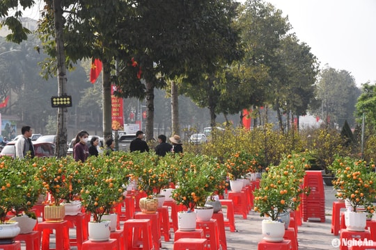 Thời tiết Nghệ An ngày 25/1: Sáng sớm và đêm trời rét