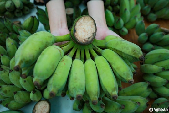 Cận Tết chuối xanh giá cao ngất ngưởng vẫn 'cháy hàng'