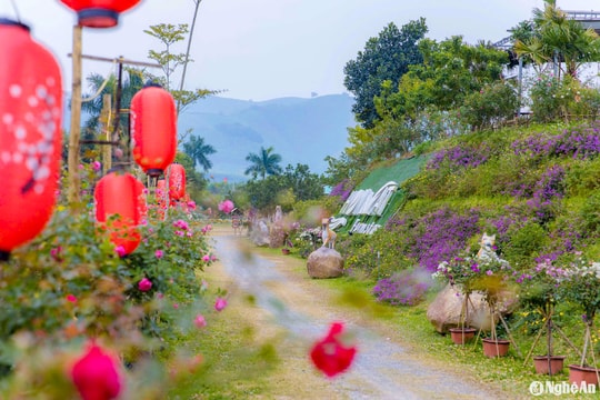 Các khu du lịch sinh thái ở Nghệ An rực rỡ sắc màu, sẵn sàng phục vụ du khách dịp Tết Nguyên đán