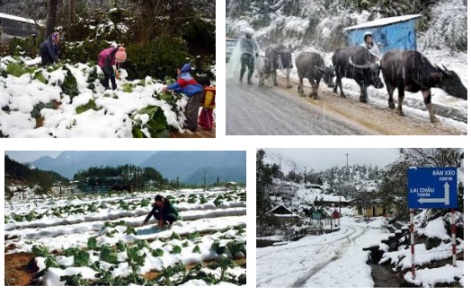 Thủ tướng chỉ đạo Nghệ An và các địa phương chủ động phòng, chống rét đậm, rét hại kéo dài