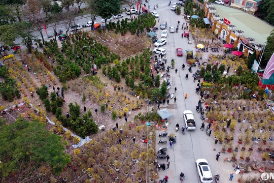 Nhiều điểm bán cây cảnh ở TP. Vinh xả hàng ngày 28 Tết