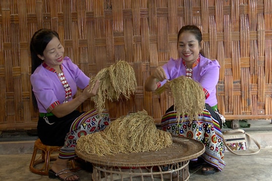 Dẻo thơm gạo nếp Cù Pháng