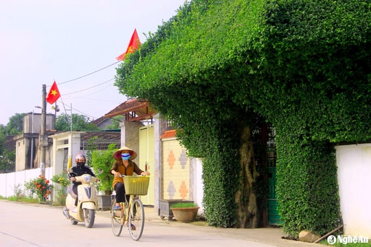 Mốc son xây dựng nông thôn mới của Nghệ An