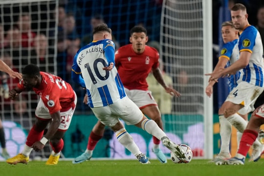Nhận định, dự đoán Nottingham vs Brighton: Đội khách quá đen