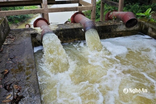 Nghệ An bảo đảm đủ nước tưới dưỡng lúa vụ Xuân