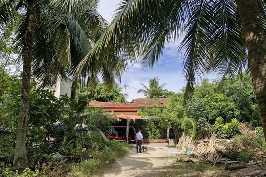 Huyện Nghi Lộc đề nghị UBND tỉnh Nghệ An thu hồi khu đất vàng 'bỏ quên' bên đại lộ Bình Minh