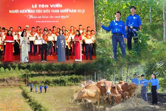 Những 'ngọn lửa' truyền cảm hứng