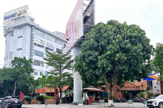 VCCI chi nhánh Nghệ An - Hà Tĩnh - Quảng Bình đã xây dựng vi phạm quy hoạch như thế nào?