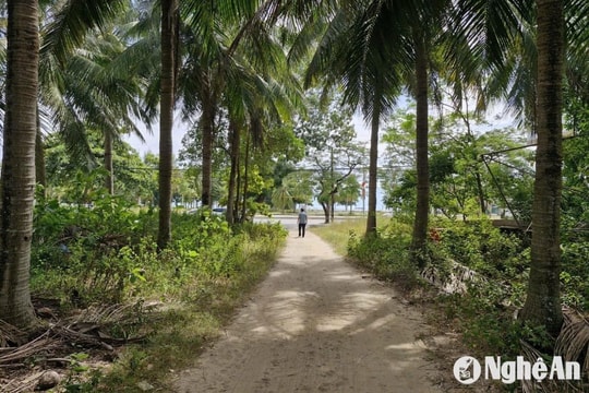 Phương án nào cho khu đất vàng bị 'lãng quên' trên đại lộ Bình Minh?