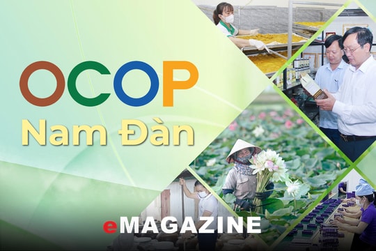 OCOP nâng tầm giá trị và thương hiệu nông sản Nam Đàn