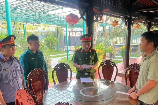 Trốn thuế hơn 20 tỷ đồng, người đàn ông chuyên thu mua gỗ keo bị bắt