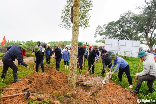 Hội Nông dân Nghệ An phát động phong trào nông dân trồng cây chống sạt lở gắn với tạo cảnh quan hai bờ sông Lam