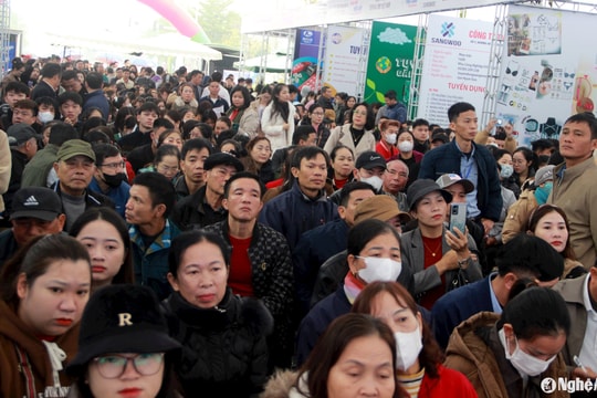 Hàng nghìn lao động đến với cơ hội việc làm đợt 1 năm 2025 tại VSIP Nghệ An