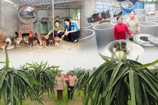 Những hành trình đặc biệt của rác thải