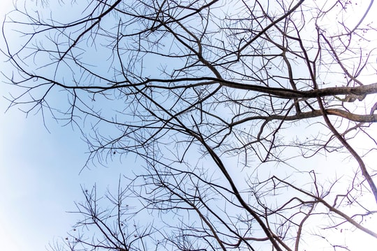 Thời tiết Nghệ An ngày 14/2: Trời không mưa, có nắng