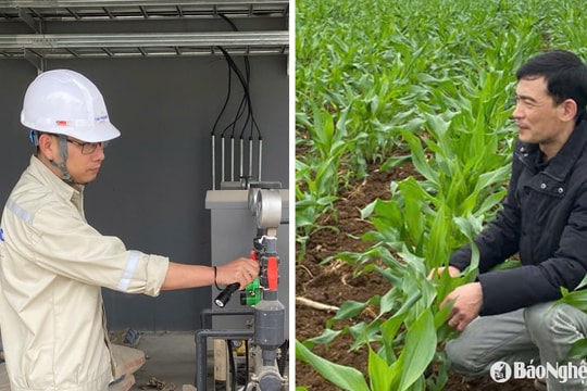 2 công nhân Nghệ An được Tổng Liên đoàn lao động Việt Nam tuyên dương