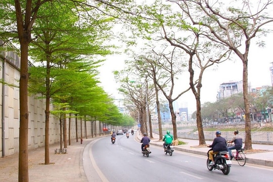 Dự báo thời tiết Thanh Hoá, Hà Tĩnh ngày 15/2: Nhiệt độ cao nhất 25 độ C