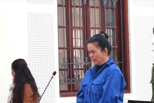 Thuê người làm giả sổ đỏ để lừa vay tiền