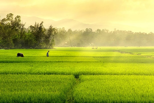 Thời tiết Thanh Hoá, Hà Tĩnh ngày 22/2: Mưa phùn rải rác, đêm và sáng sớm trời rét