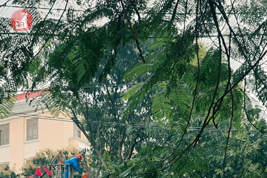 Thành phố Vinh chi hơn 74 tỷ đồng cải tạo tuyến đường thường xuyên ùn tắc giao thông