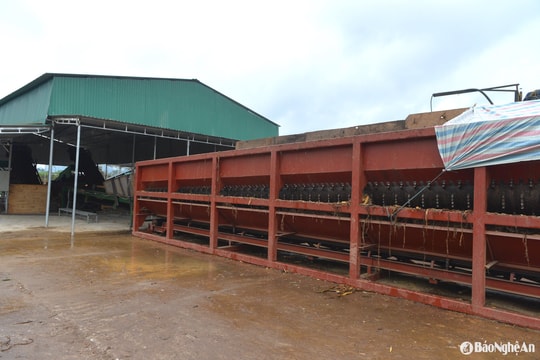 Huyện Con Cuông đình chỉ 1 cơ sở băm dăm gỗ trái phép