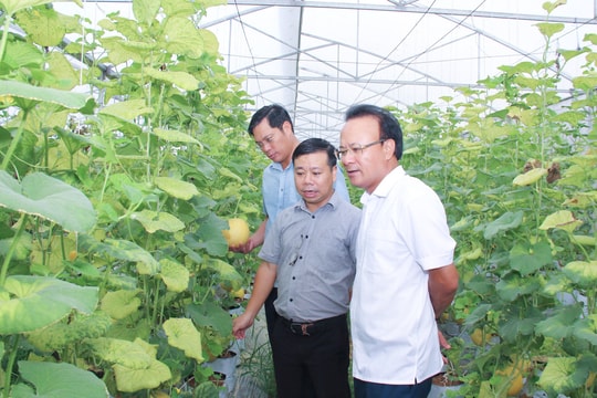 Nâng cao chất lượng xây dựng văn kiện đại hội, đáp ứng yêu cầu phát triển