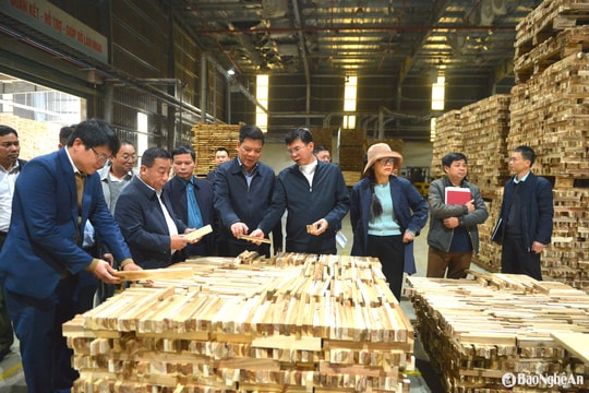 Lãnh đạo tỉnh kiểm tra các cơ sở chế biến băm dăm gỗ tại huyện Quỳ Hợp, Nghĩa Đàn